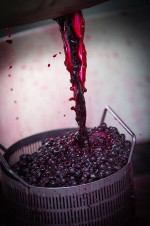 Wine mixing during fermentation process in barrel, Bordeaux Vineyard, Franceの写真素材