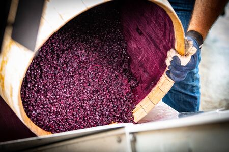 Slow Motion Of Yellow Spray Bottle Drops On Black Backgroundの写真素材