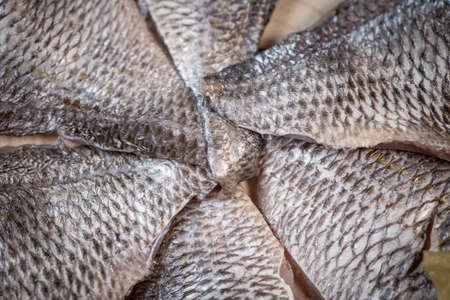 sea bream fillet, Fresh raw bream fish filletsの写真素材