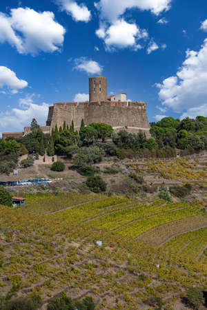 Collioure, coastal village in the south of France, Mediterranean sea, Languedoc Roussillon, Pyrenees Orientales, Fort Saint-Elme, Moulin de la Cortinaの写真素材