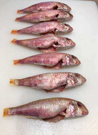 Raw red mullet fillets close-up on white background