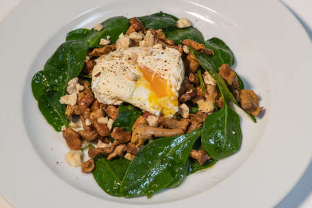 Recipe for poached egg with black tea cut with a knife, warm salad of chanterellesの写真素材