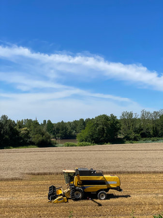 Combine harvester harvests ripe wheat, agriculture, France