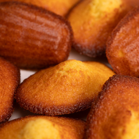 Delicious madeleine cake on white backgroundの写真素材