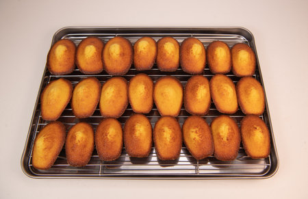 Delicious madeleine cake on on a rack after bakingの写真素材