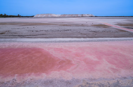 Pink Ponds In Man-made Salt Evaporation Pans In Camargue, Salin de Guiraud, Franceの写真素材