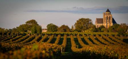 France, Charente-Martime, Lonzac Church,in Cognac Vineyards, Petite Champagne