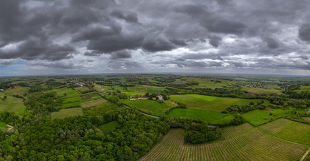 Aerial view of Bordeaux vineyard at spring under cloudy sky, Rions, Gironde, France