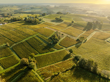 Aerial view, Bordeaux vineyard, landscape vineyard south west of france, Sainte-Croix-du-Mont