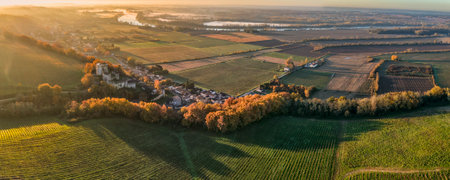 France, Gironde, Haut-Langoiran, Aerial view of the vineyard and wooded areas of Chateau de...