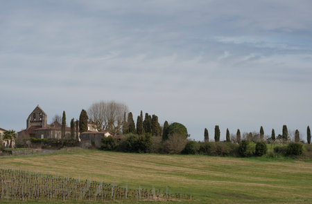 Peaceful landscape featuring the church of Haux in Gironde surrounded by lush nature and cypress...