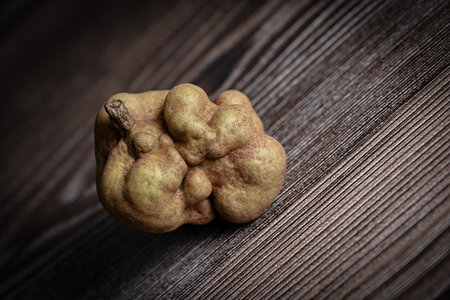 Deformed, malformed or atypical fruit, Pear in studioの写真素材