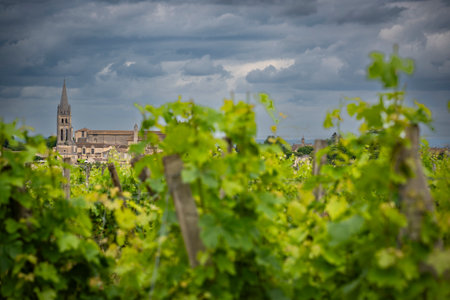 Bordeaux vineyards under dramatic skies showcasing Saint-Emilions historic architecture and lush...