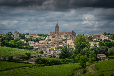 Bordeaux vineyards in Saint-Emilion during springtime with lush greenery and scenic village...