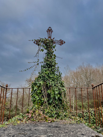 Natural background of the old cemetery. catholic or christian tombstone entwined with ivy and grassの写真素材