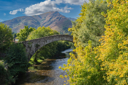 France, Pyrenees-Atlantiques, Saint-Etienne-de-Baigorry, the Roman bridge crossed by the Nive des Aldudes riverの写真素材