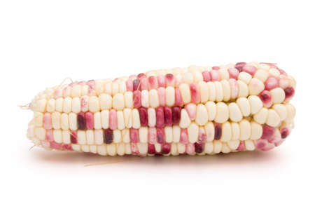 colorful corn の写真素材