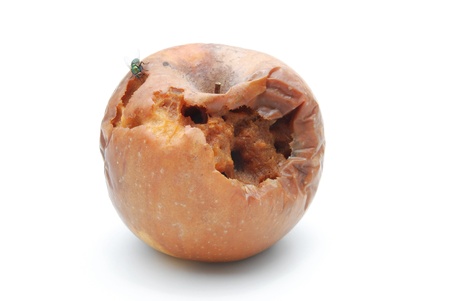 rotten apple with fly on white backgroundの写真素材