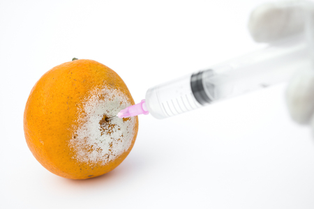 giving an injection to a rotten orange on white, medical conceptの写真素材