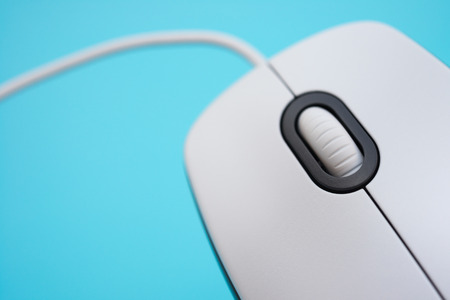 white mouse close up on blue backgroundの写真素材