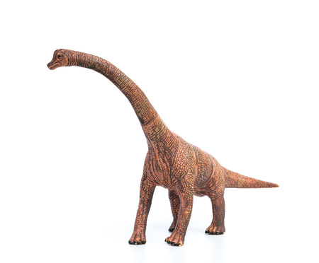 brachiosaurus toy on a white backgroundの写真素材