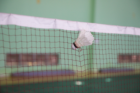 shuttlecock seized by the net in a badminton courtsの写真素材