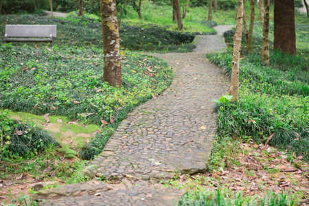 outdoor curved pathwayの写真素材