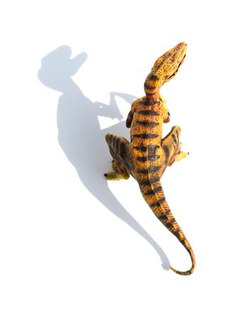 top view yellow velociraptor toy on a white background with shadow