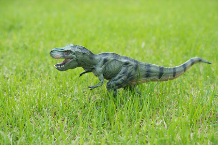 tyrannosaurus toy stands on glassの写真素材