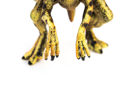 feet of velociraptor toy on white backgroundの写真素材