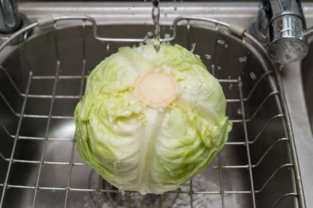 washing fresh cabbage on sinkの写真素材