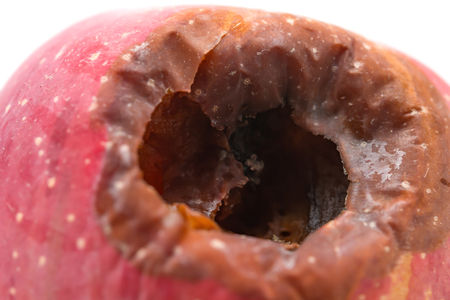 rotten apple with a big hole on white background close upの写真素材