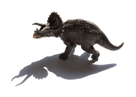 grey triceratops toy with shadow on a white backgroundの写真素材