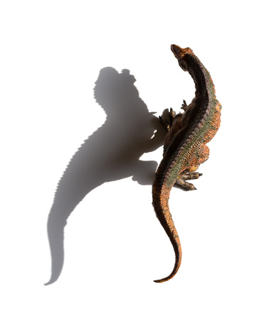 top view acrocanthosaurus toy with shadow on a white backgroundの写真素材