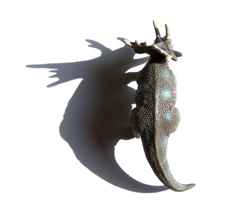top view grey triceratops toy with shadow on a white backgroundの写真素材