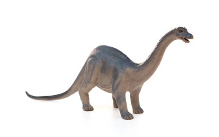 Diplodocus toy on a white backgroundの写真素材