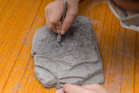 kid excavating animal bones from a rock