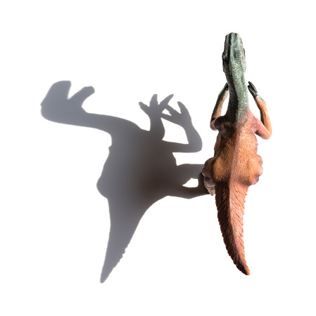 top view nothronychus toy with shadow on a white backgroundの写真素材