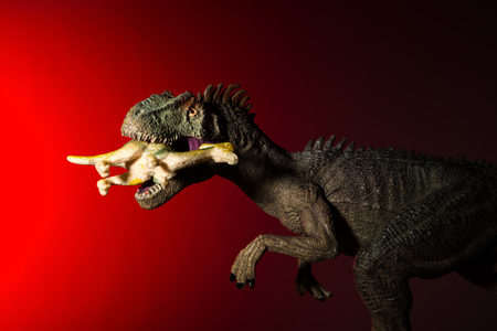 allosaurus biting a smaller dinosaur with spot light on the head and red light on backgroundの写真素材