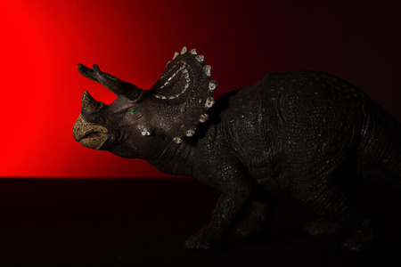 triceratops with spot light on the head and red light on backgroundの写真素材