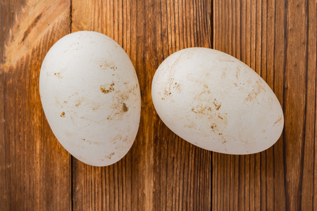 goose eggs on wood backgroundの写真素材