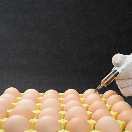 doing injection by medical syringe to rows of eggs