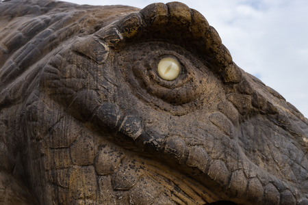 dinosaur head close upの写真素材