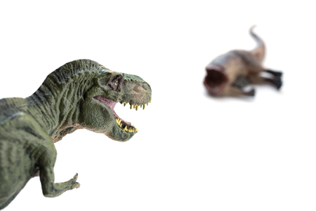 tyrannosaurus and a dinosaur bloody body on whiteの写真素材