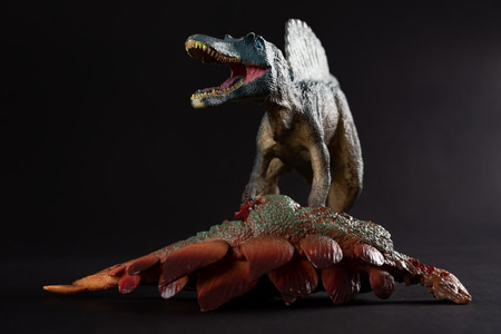 spinosaurus with a stegosaurus body nearby on dark backgroundの写真素材