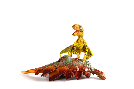 front view velociraptor with a stegosaurus body nearby on white backgroundの写真素材