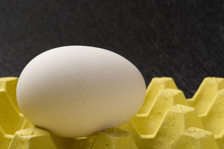over size goose egg on a case