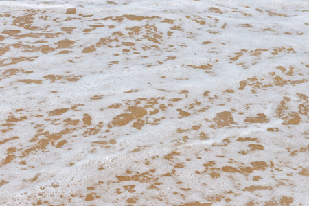 soft wave on a sandy beach