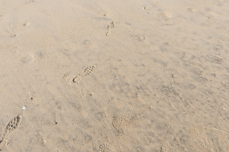 wavy sand background and texture
