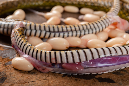 cutout snake body with eggs on a chop board